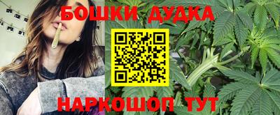 индика Коммунар