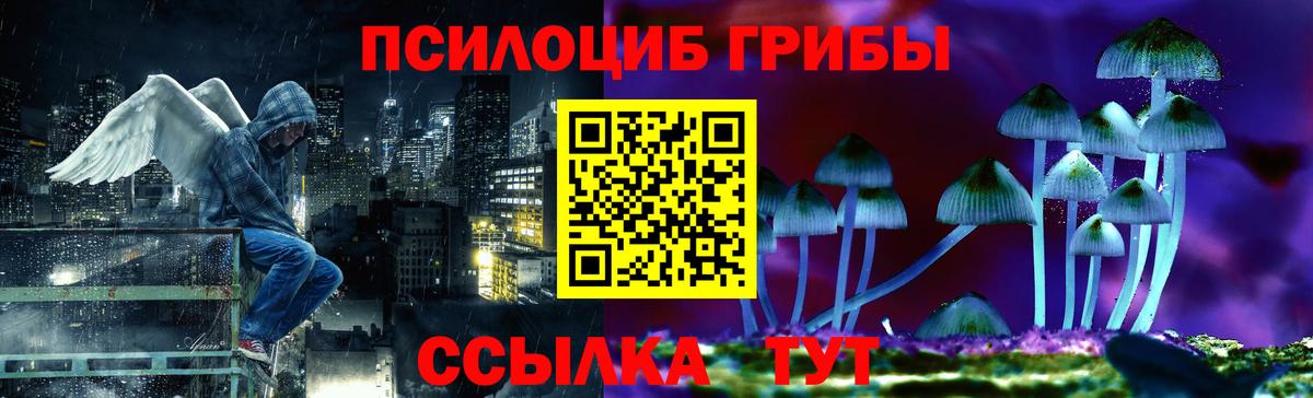 Галлюциногенные грибы прущие грибы  Вход с VPN  закладка  Кольчугино 
